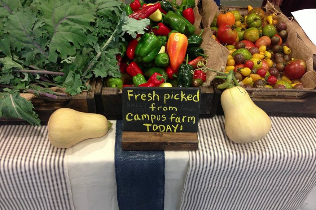 freshfood