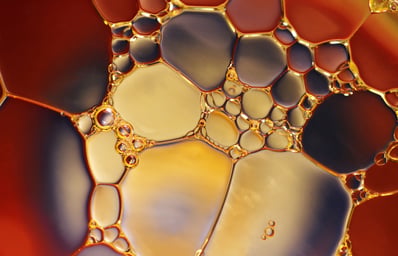 pexels photo 220989