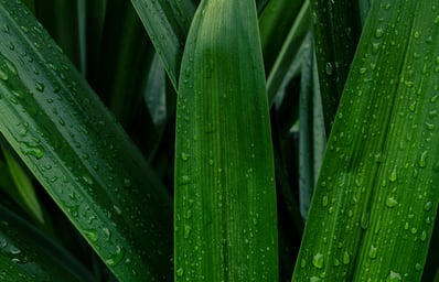 pexels photo 5857658