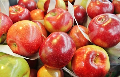 Apples Cover Photo