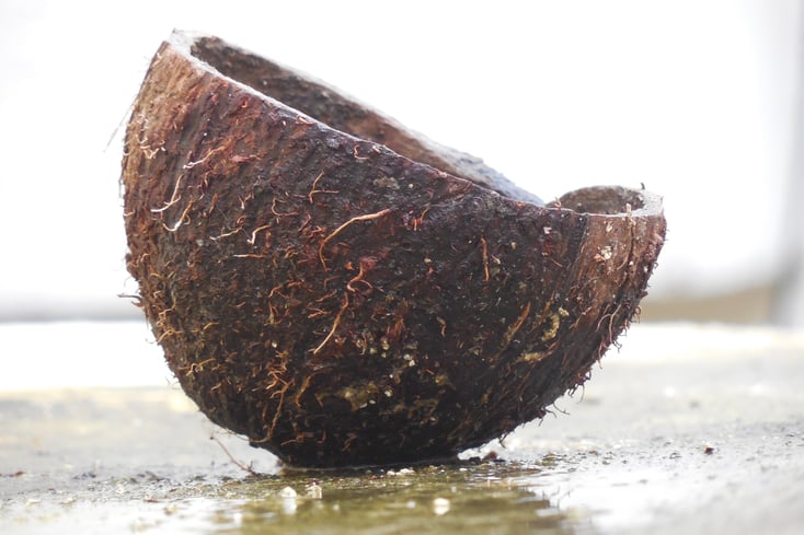 A cut coconut shell