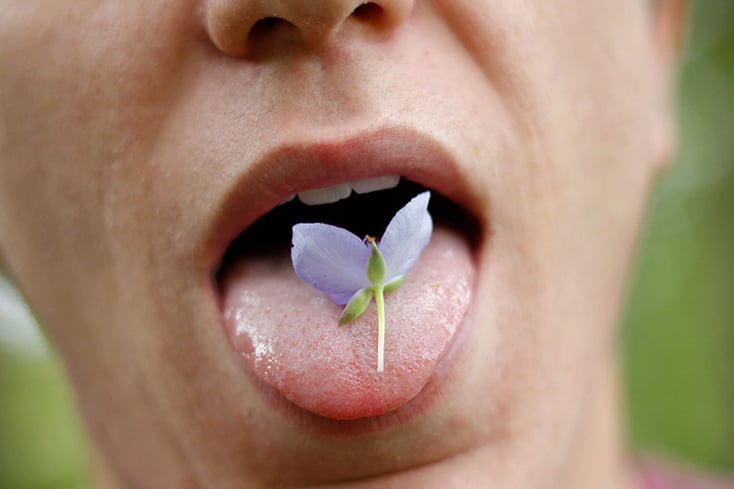flower