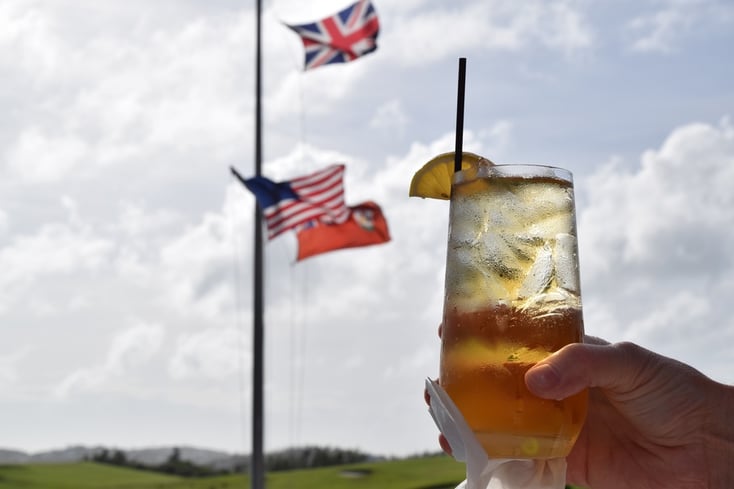 2. Cockspur and Gingerale