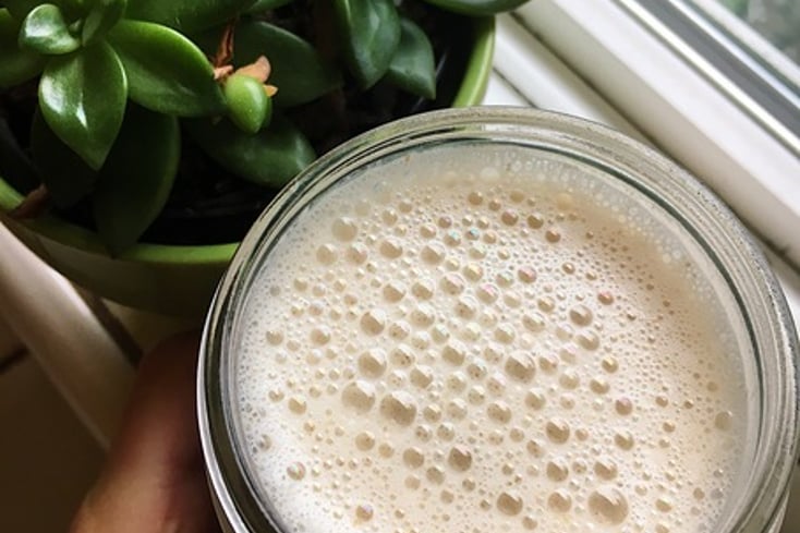 Lavender Oat Milk 
