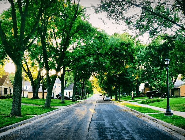Road with homes.