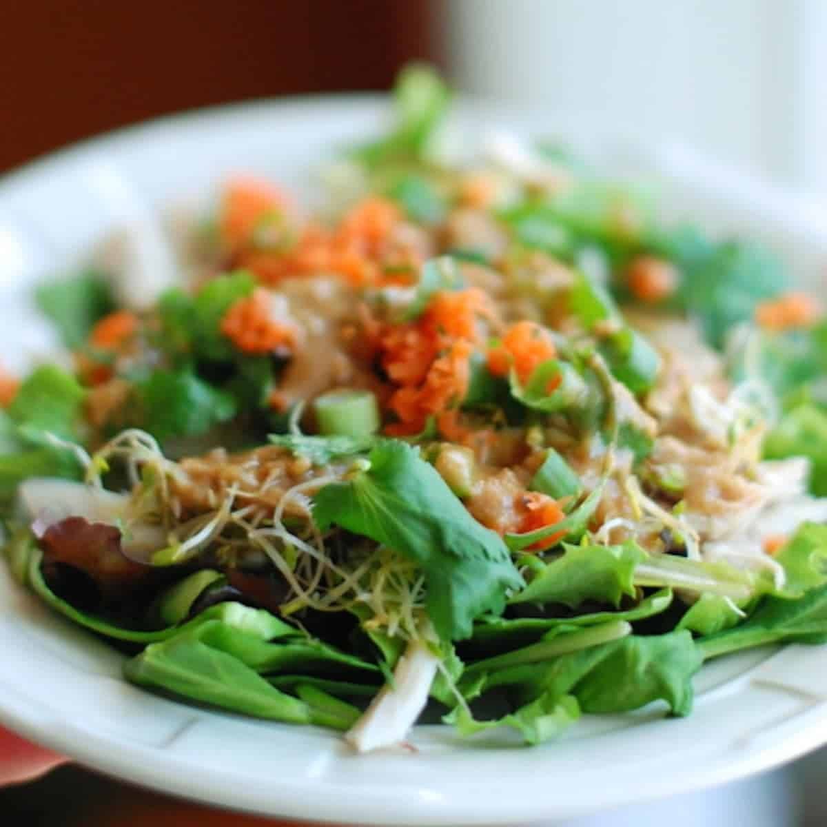 Thai chicken salad with rotisserie chicken and peanut dressing on a white plate.